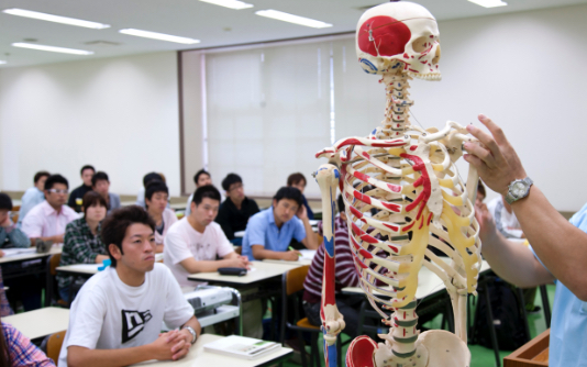 解剖学の理解を深める「人体解剖実習」